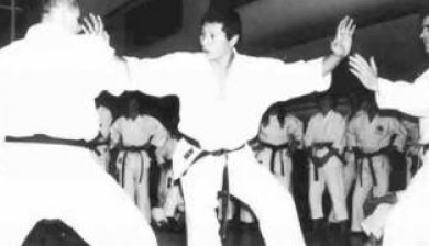 The Source of Shotokan Karate